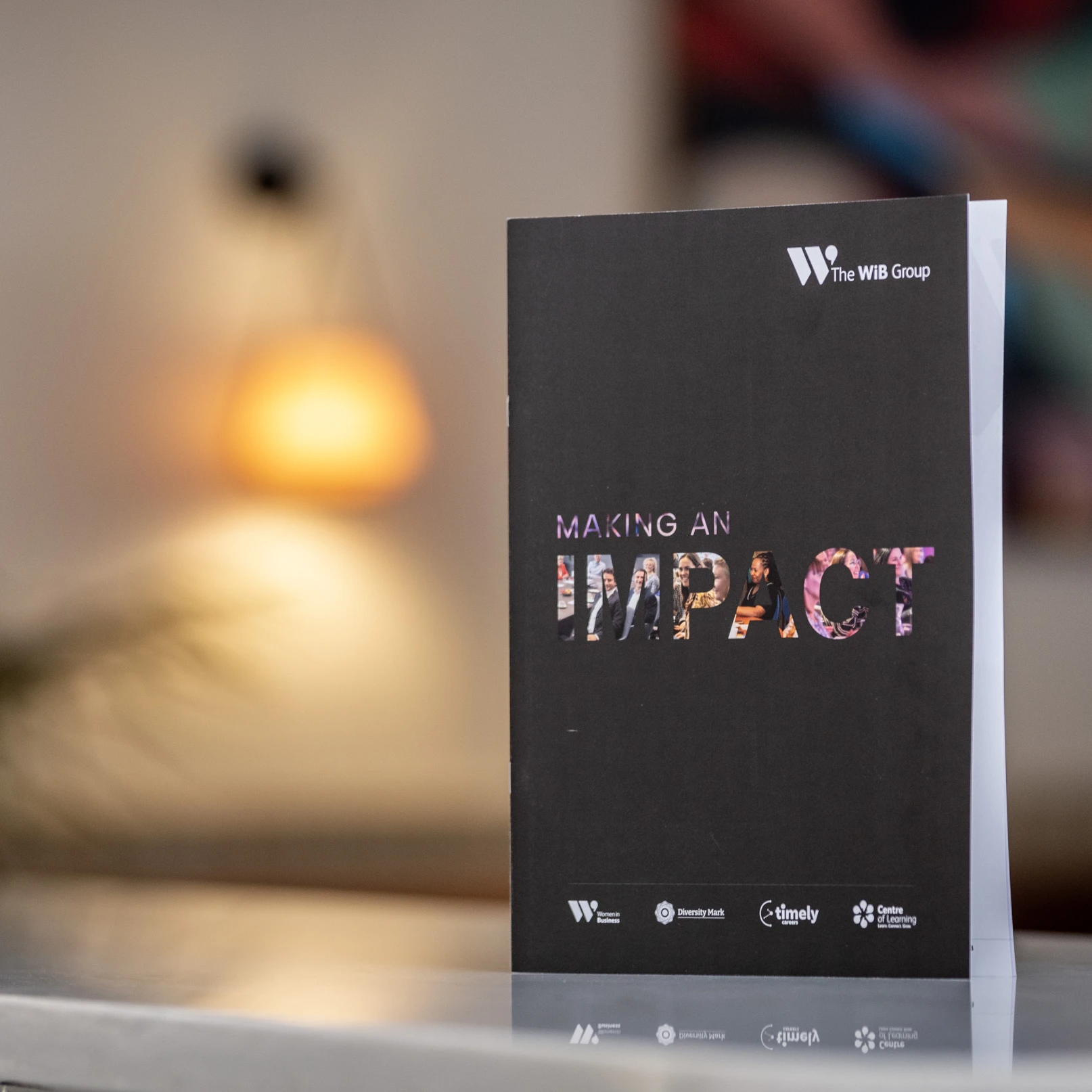 New Milestone for The WiB Group as Annual Report Shows 250,000 Impacted